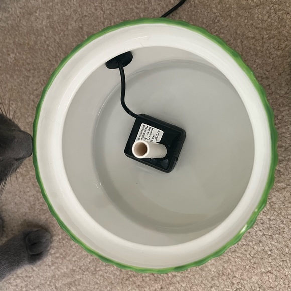 Happy and Polly Cactus Water Fountain - Picture 4 of 5